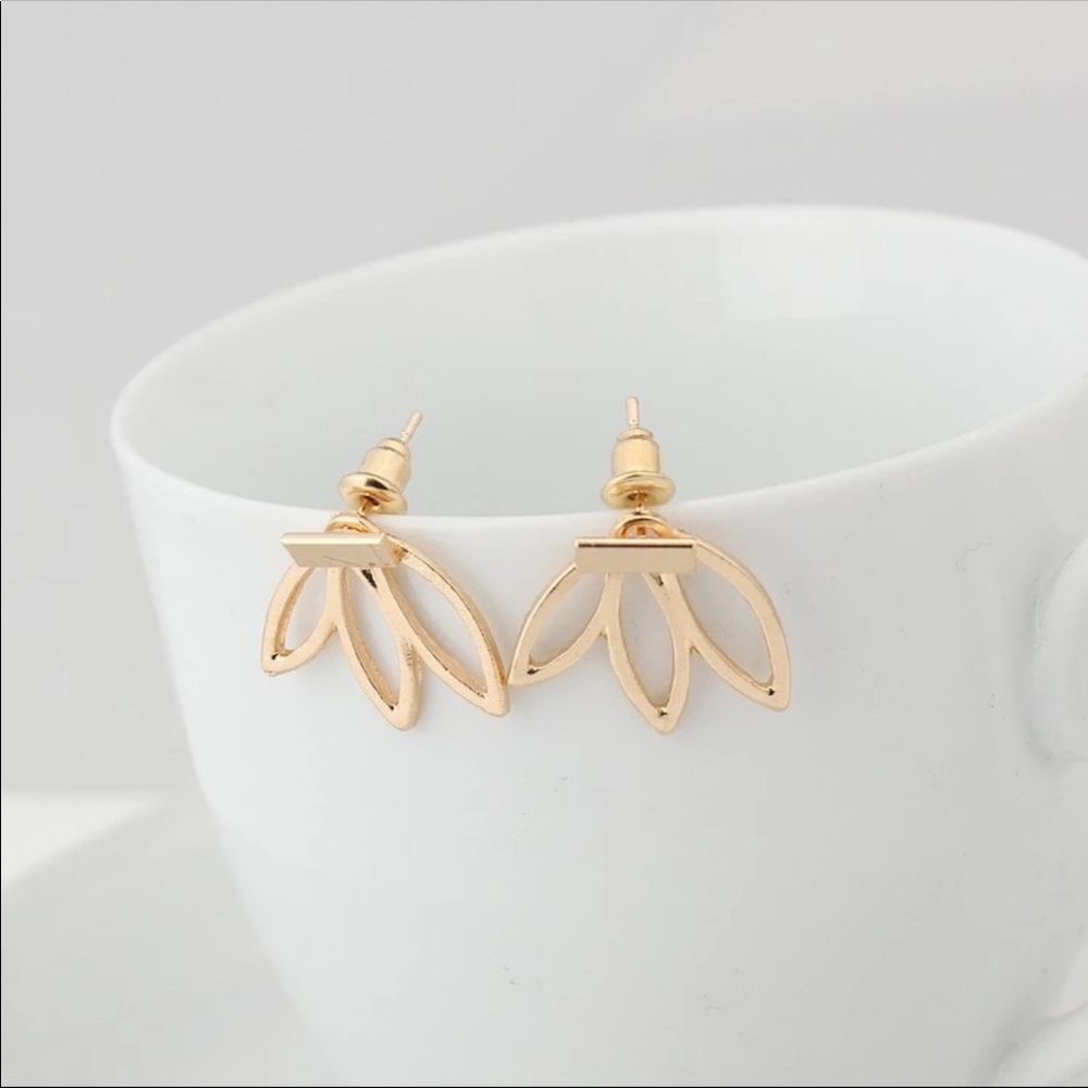Fashion Earrings